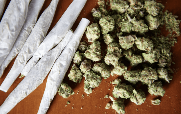 Pre-Rolls for Sale: How to Choose Safe, High-Quality Cannabis Pre-Rolls - The Green House 