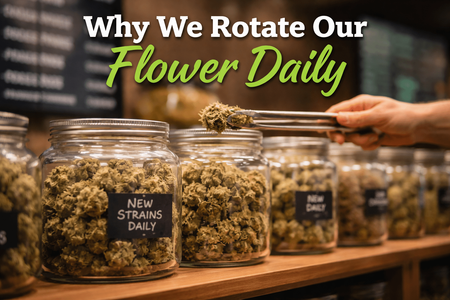 Why We Rotate Our Flower Daily - The Green House 