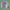 Boutiq Snack Pack 5ct Mini Prerolls - THCA - The Green House Houston