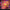 Kanha Extra Strong THC Belts Sour Fruit Punch 6ct - THCA - The Green House Houston
