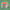 Boutiq Snack Pack 5ct Mini Prerolls - THCA - The Green House Houston