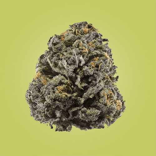 ⁠Mid Grade Sativa - THCA - The Green House Houston