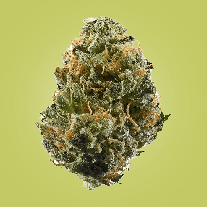 AAA Exotic Sativa - THCA - The Green House Houston