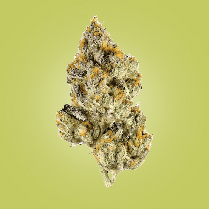 ⁠Mid Grade Hybrid - THCA - The Green House Houston